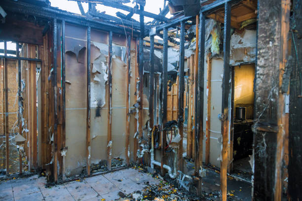 Professional Soot Cleanup technician working in Grandview, MO